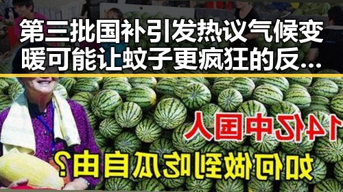 第三批国补引发热议气候变暖可能让蚊子更疯狂的反差爆料